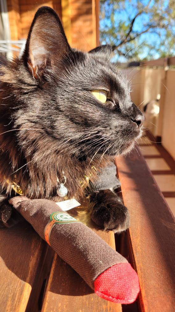 Meowijuana Catnip Cigar