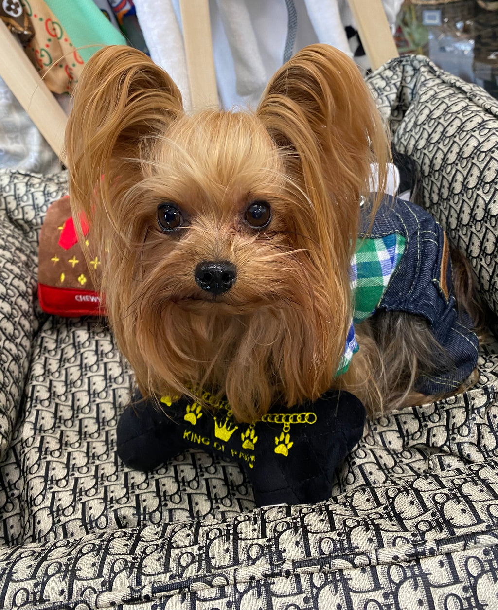 Denim Flannel Onesie