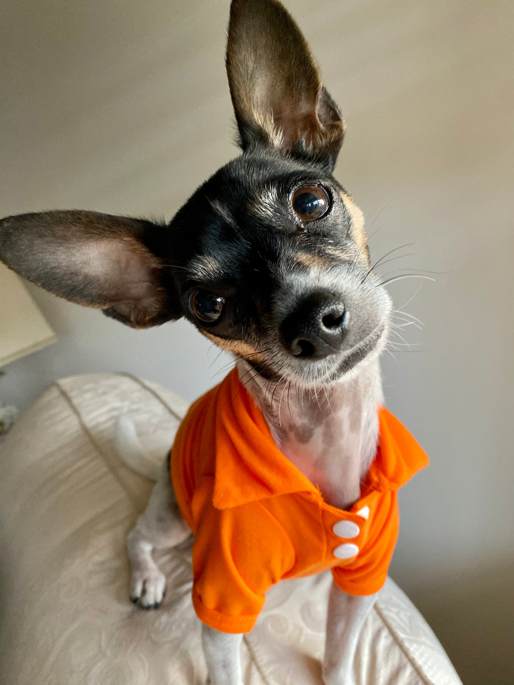 Polo Shirt