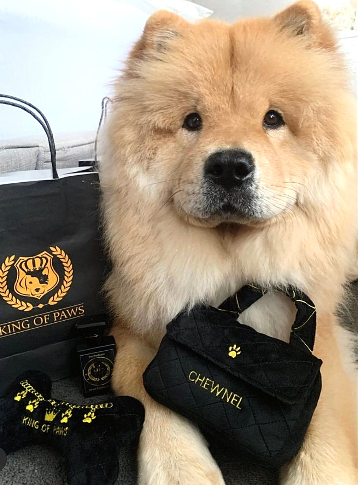 Chewnel Classic Black Toy Purse King of Paws - Main Image