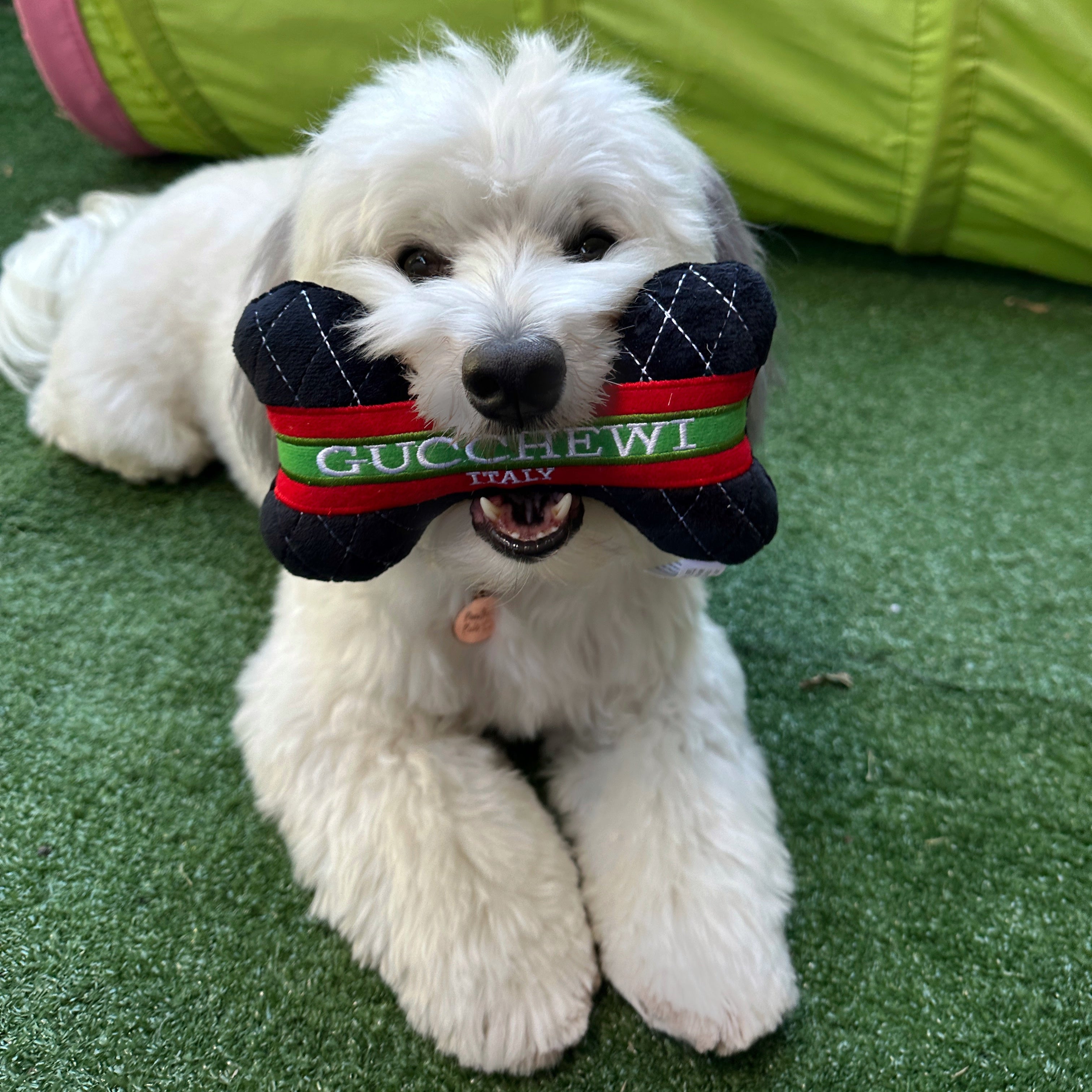 Gucchewi Toy Bone