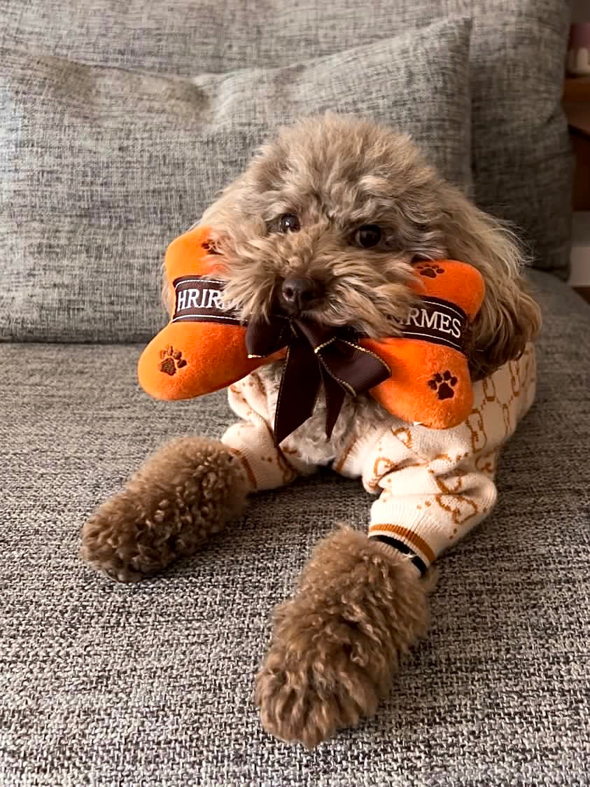 Hairmes Toy Bone