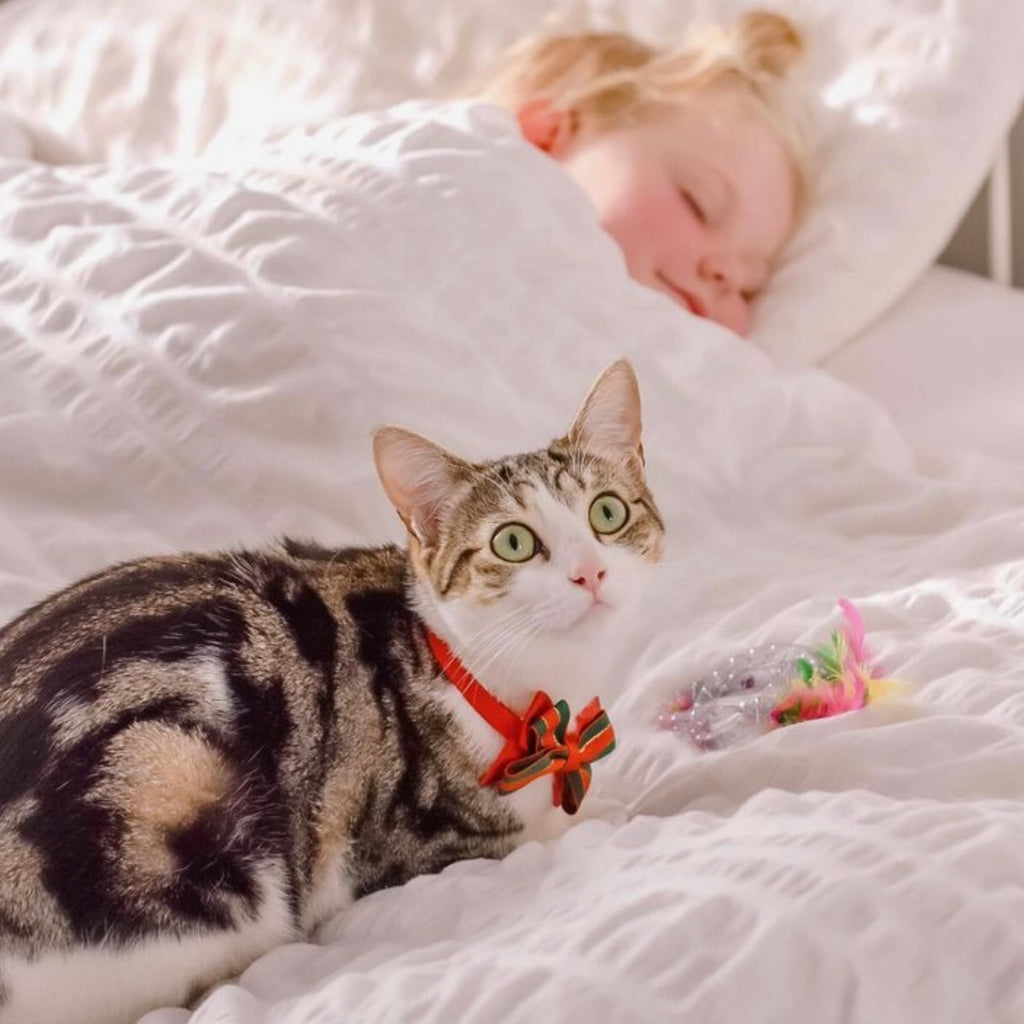 Kitty Twizzlers