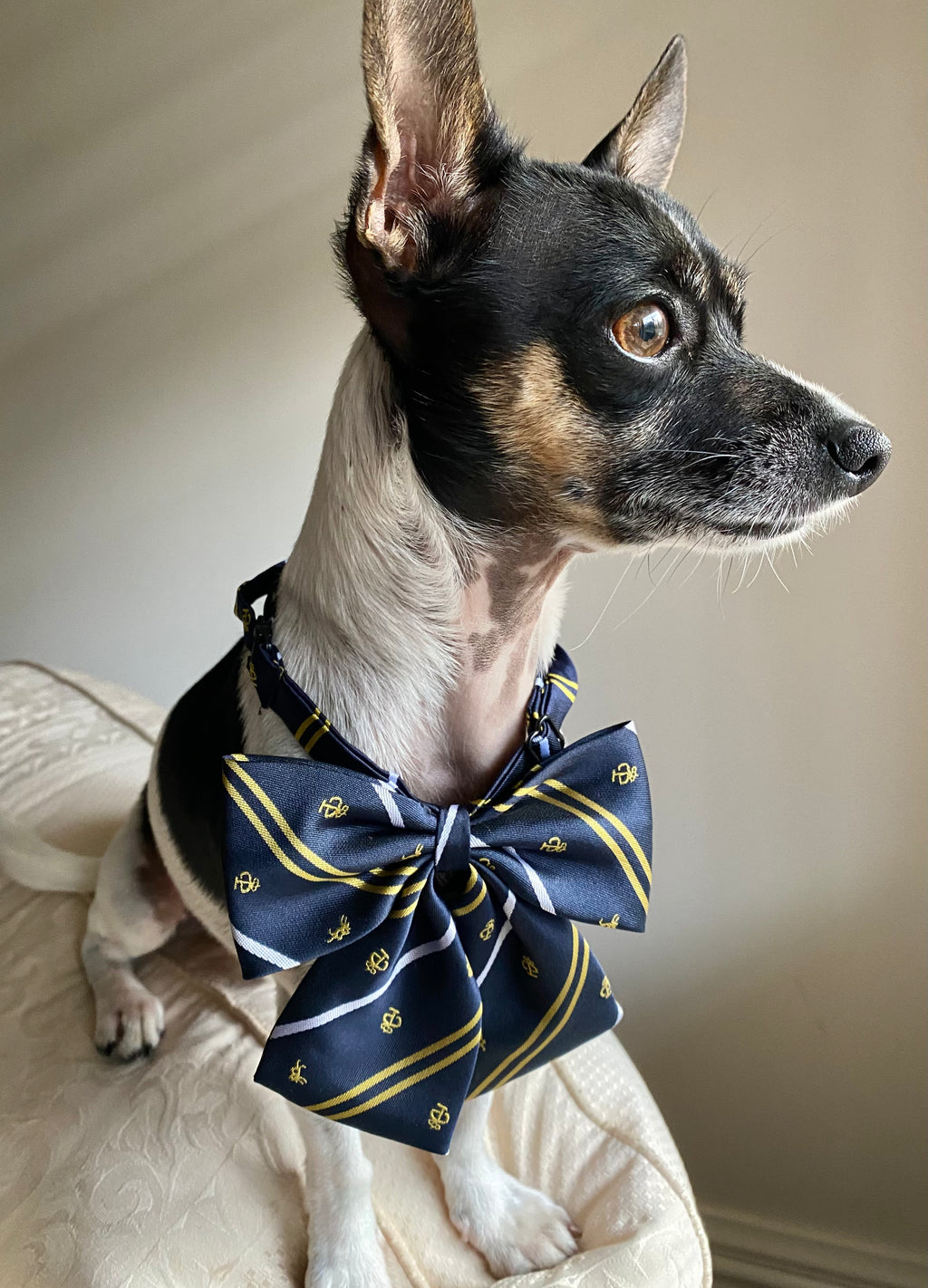 Dogwarts Bow Ties