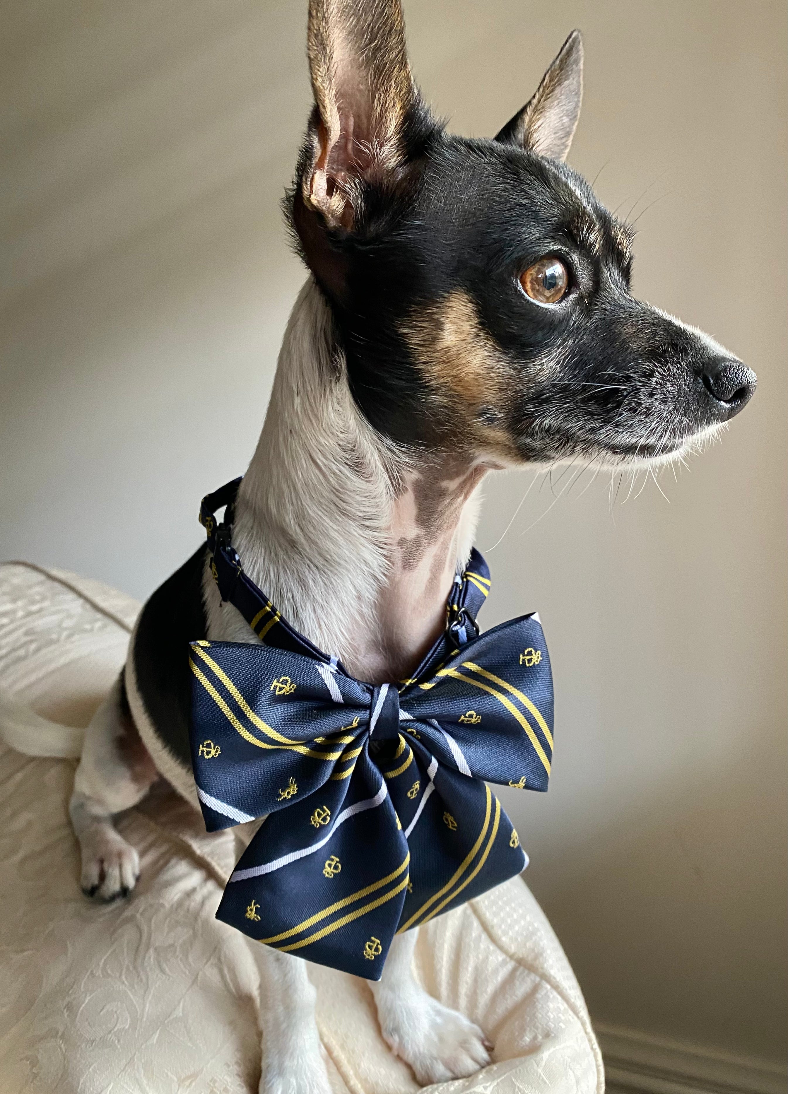 Dogwarts Bow Ties