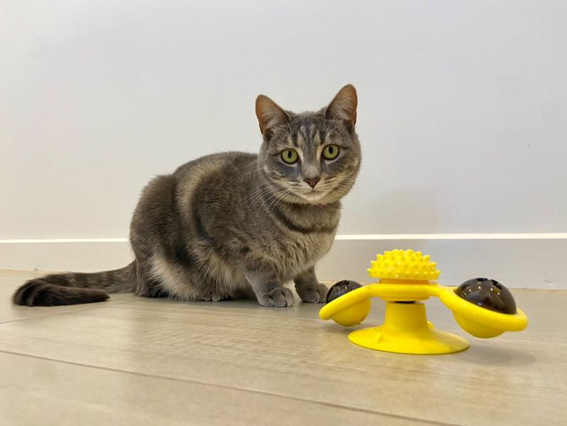 Cat Interactive Windmill