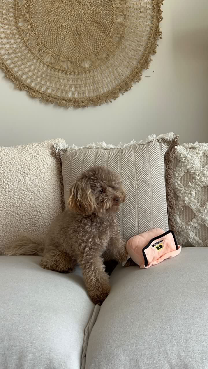 Pink Chewnel Toy Purse
