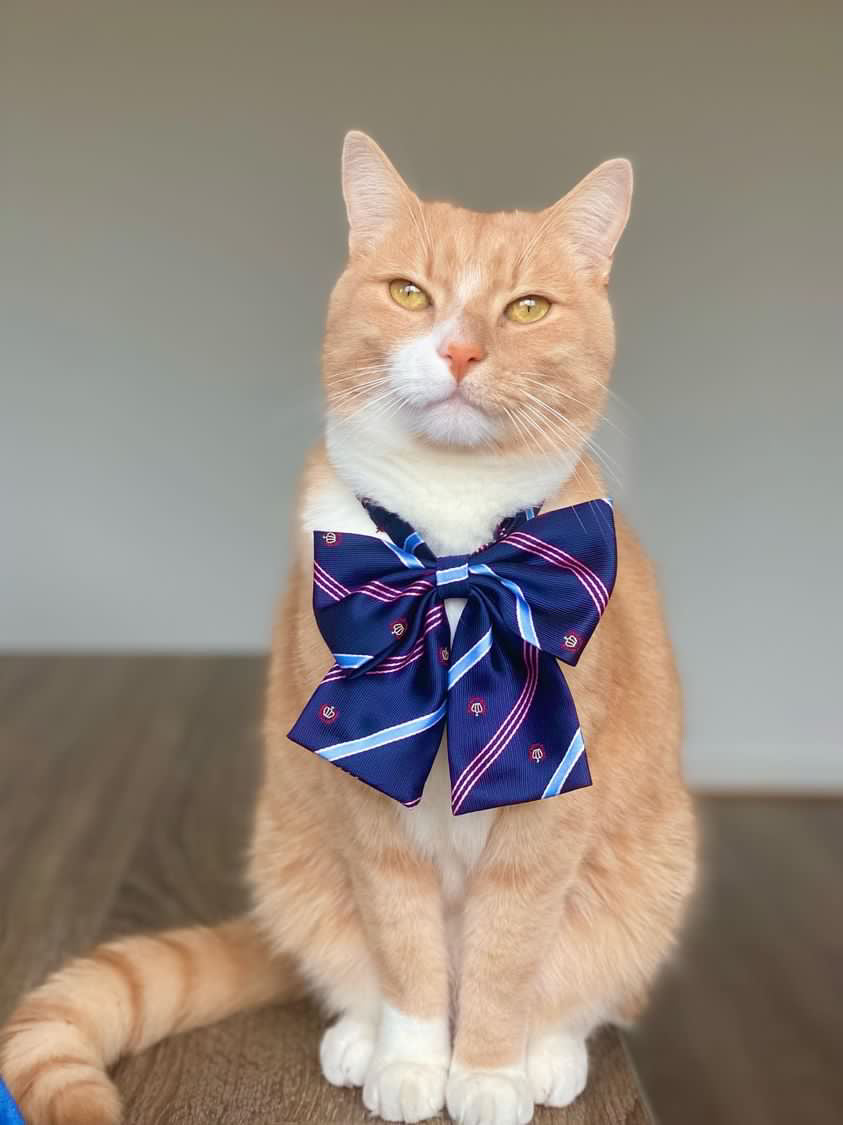 Dogwarts Bow Ties