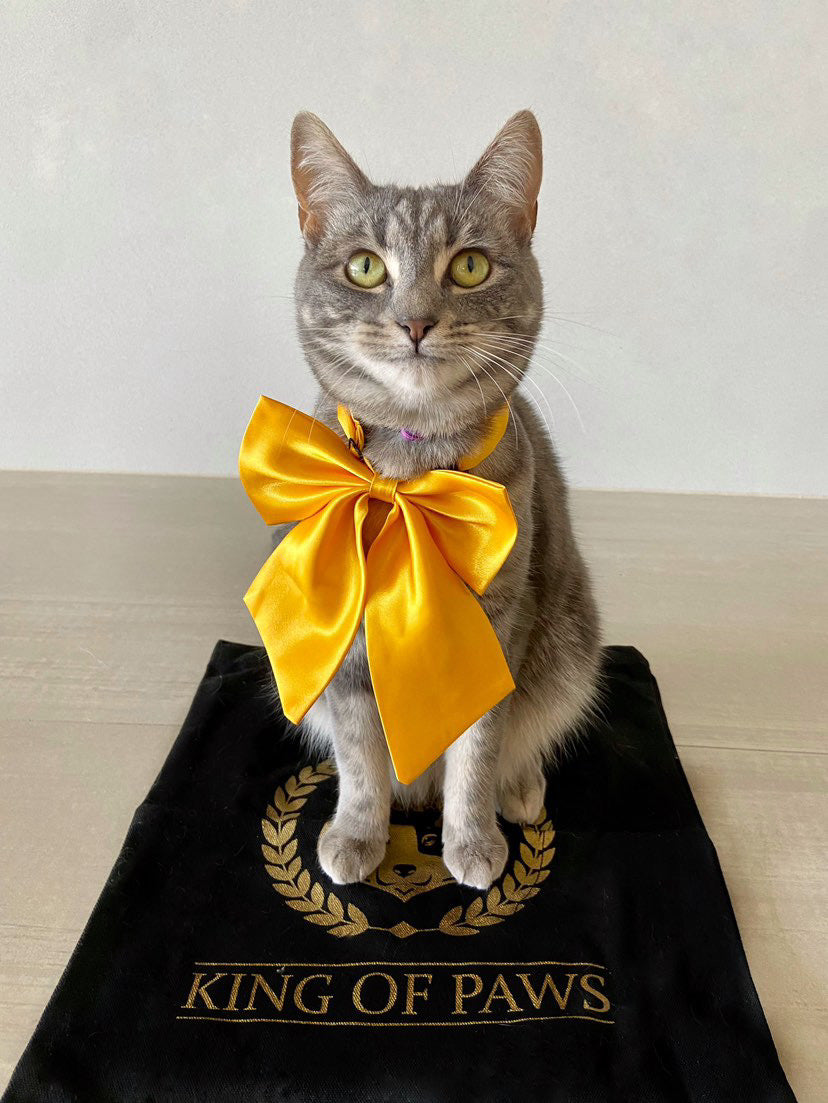 Single Silk Coloured Bows