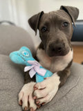 Sniffany and Co Toy Bone