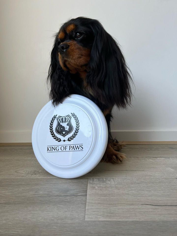 KOP Frisbee