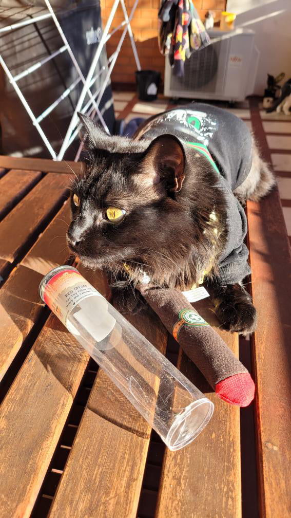 Meowijuana Catnip Cigar