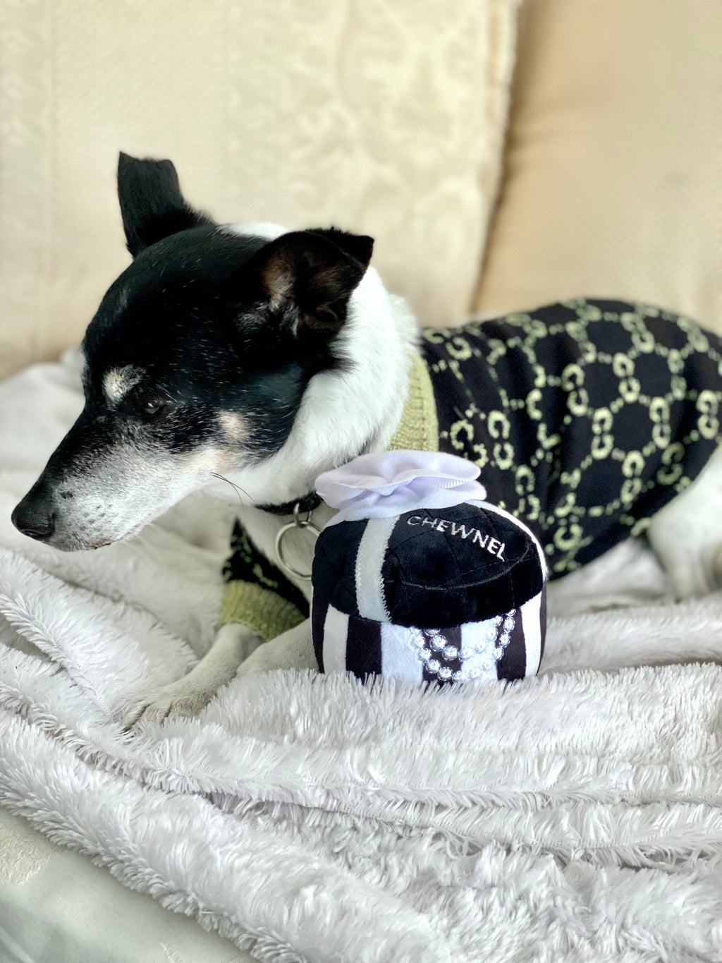 Chewnel Gift Box Toy