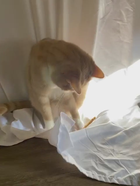 Catnip Sticks
