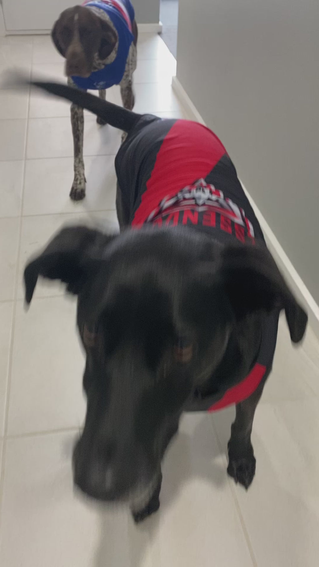 AFL Jerseys