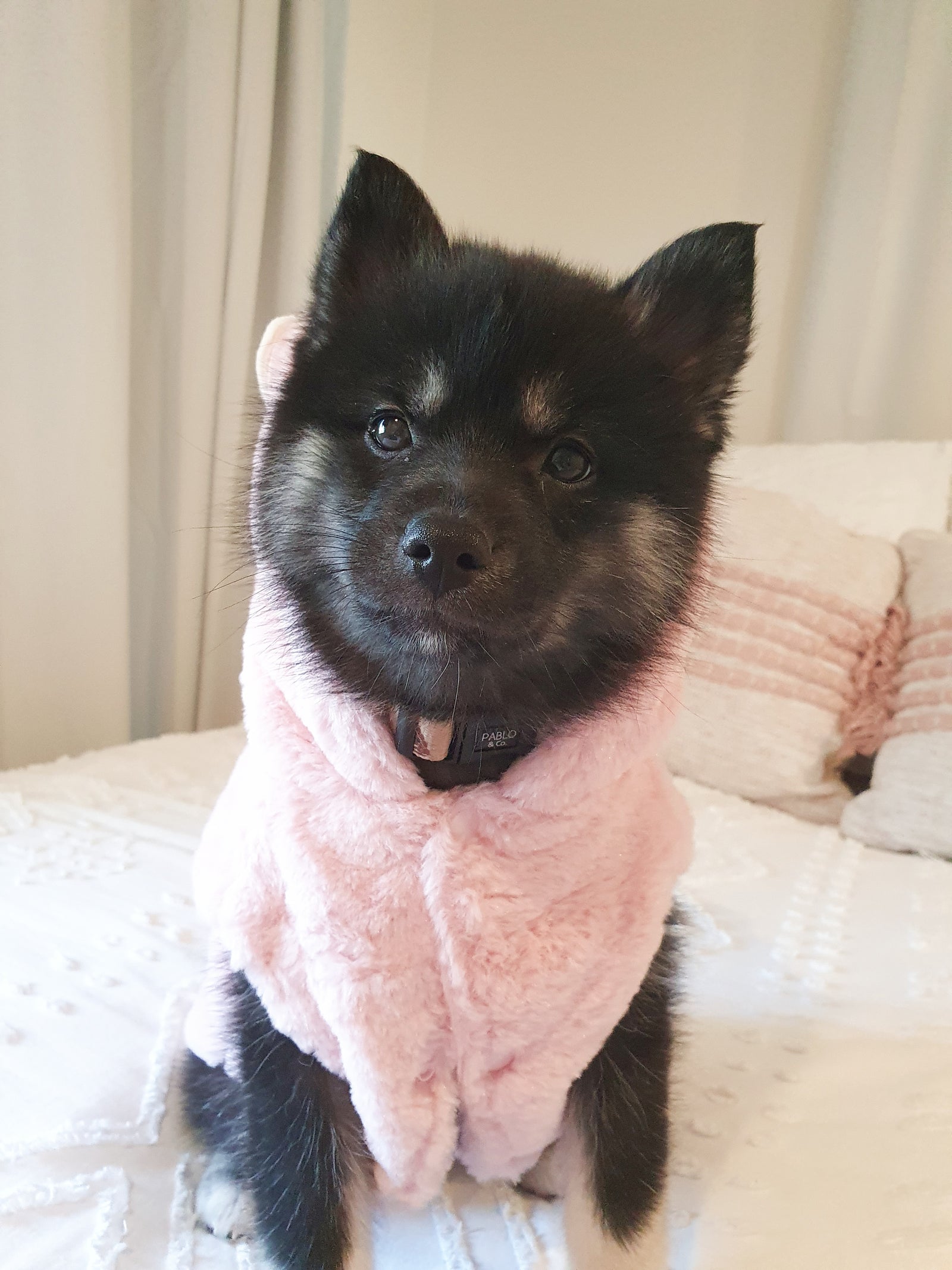 Luxe Pink Bunny Coat