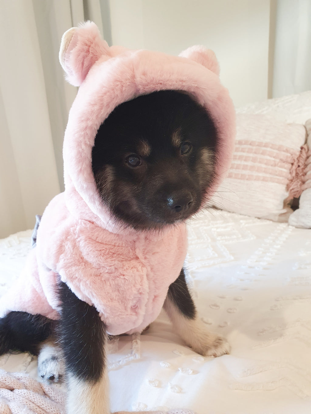 Luxe Pink Bunny Coat