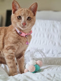 Catnip Feather Ball