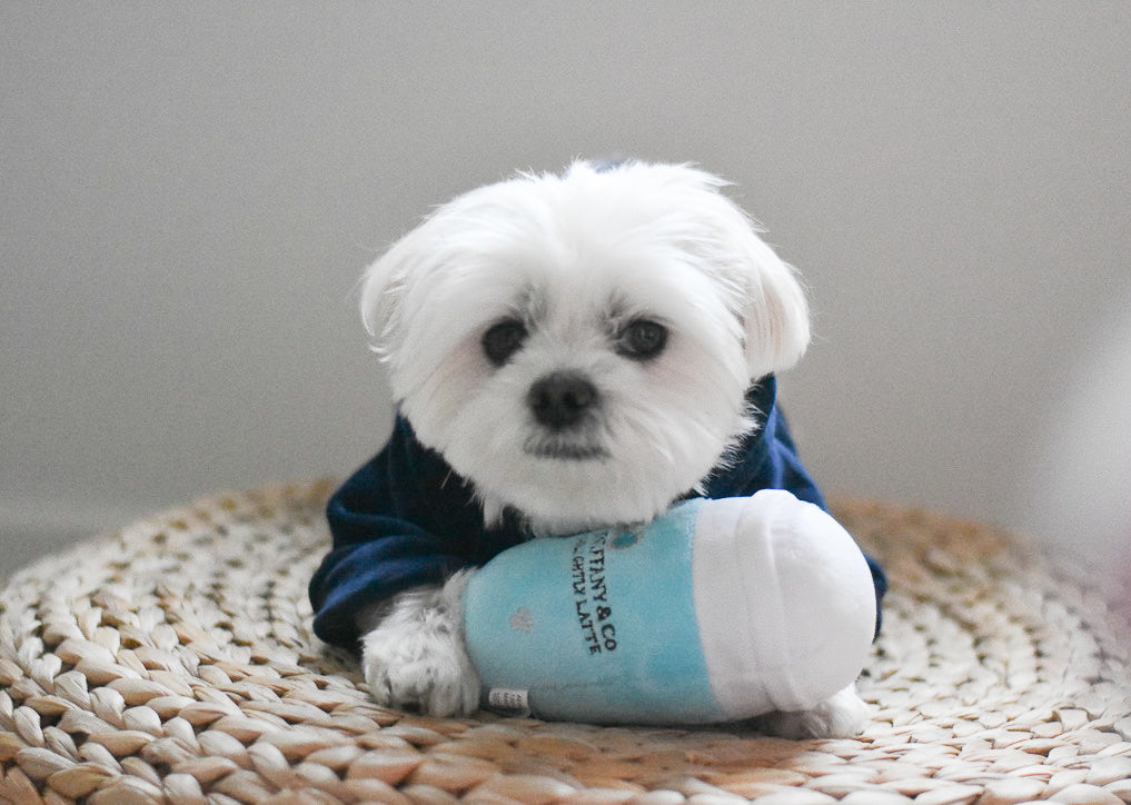 Sniffany and Co Go Lightly Latte