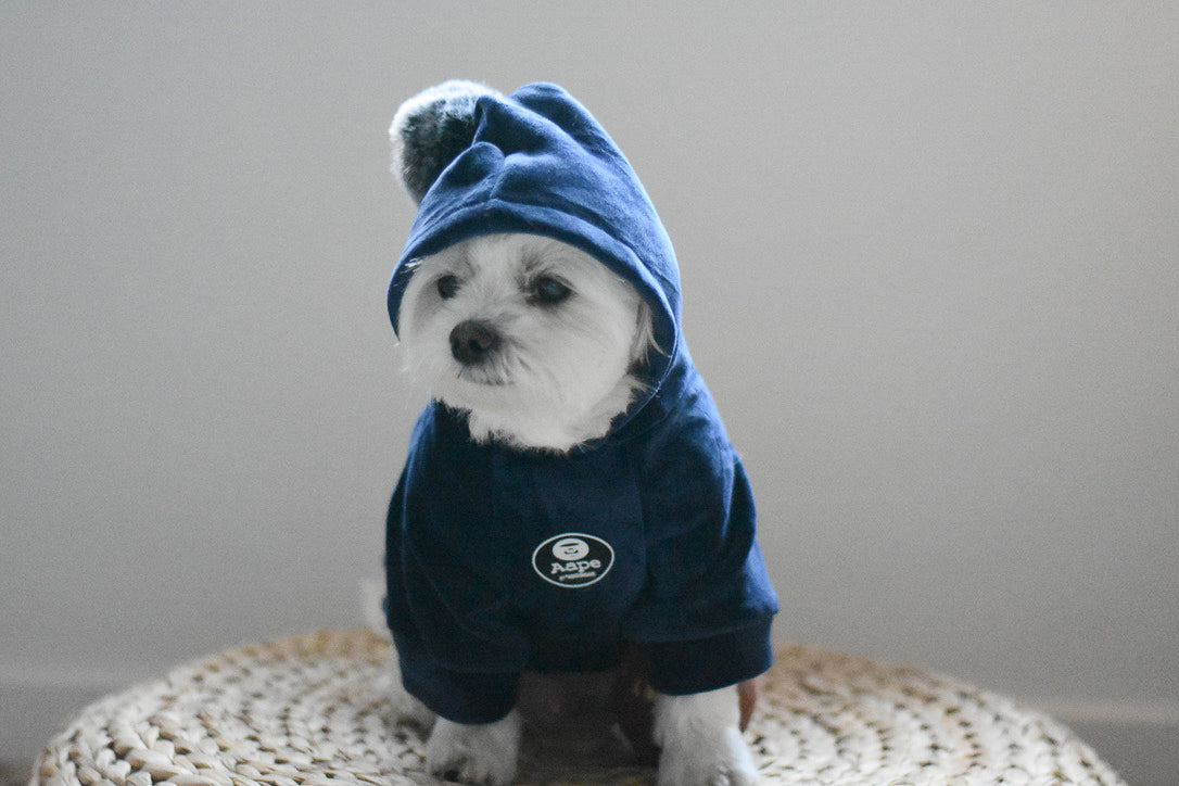 Velvet Ape Hoodie