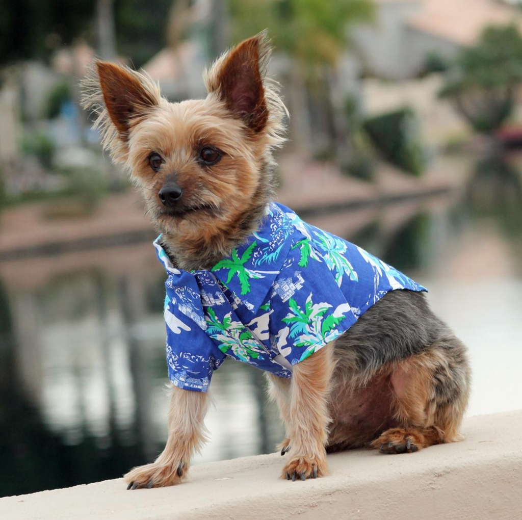 Hawaiian Blue Shirt