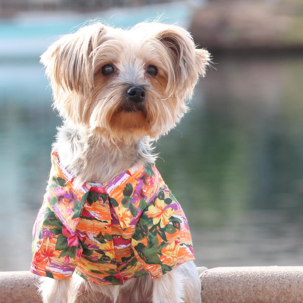 Hawaiian Sunset Shirt