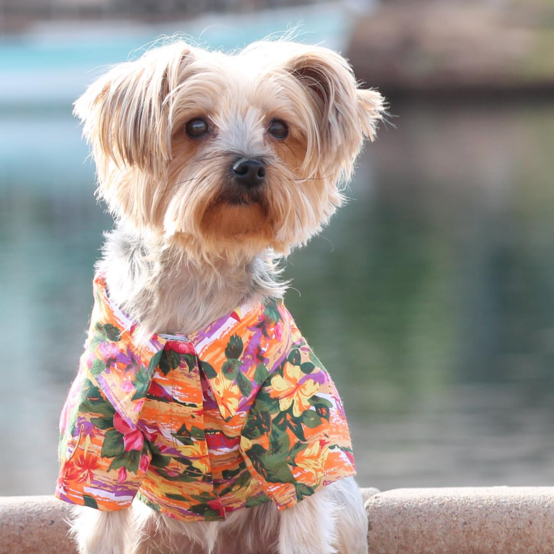 Hawaiian Sunset Shirt