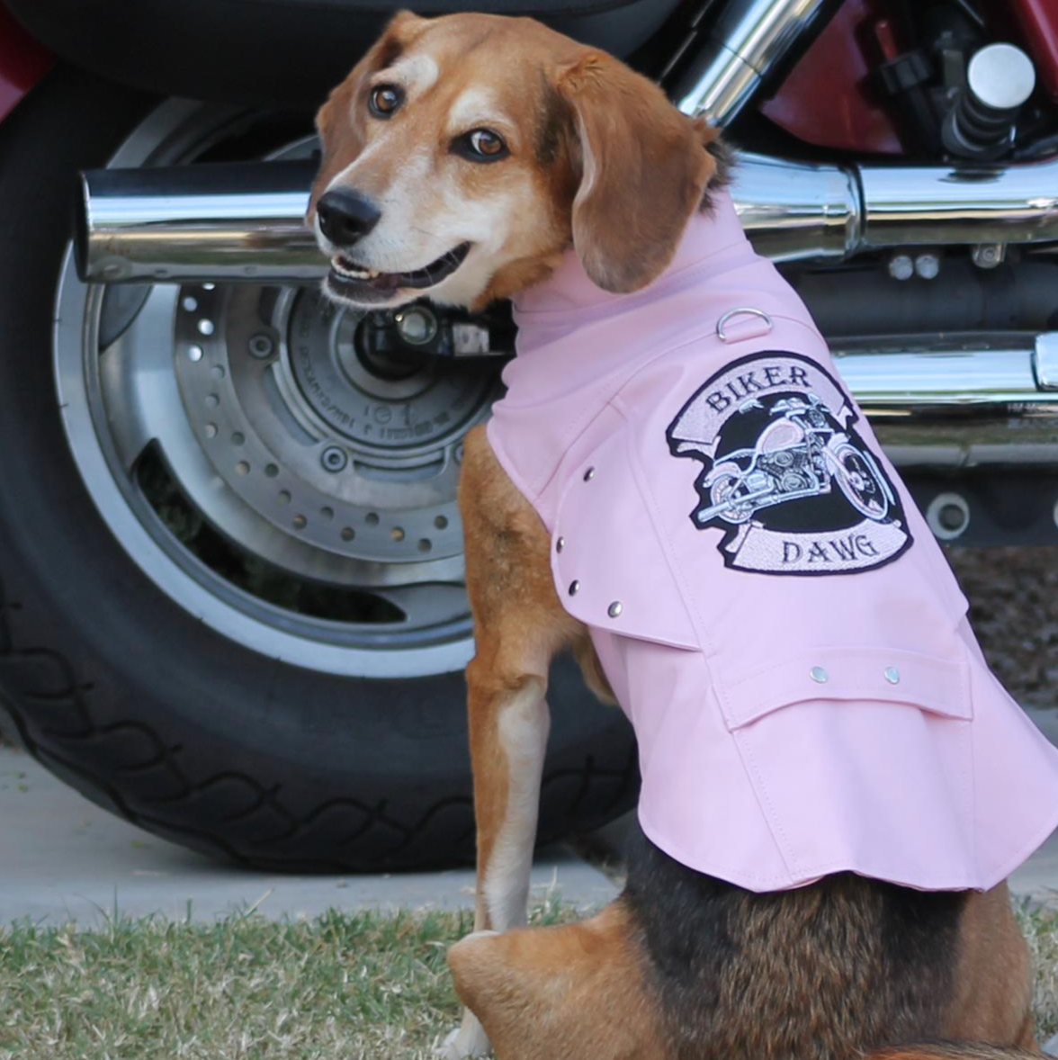 Biker Dawg Pink Jacket