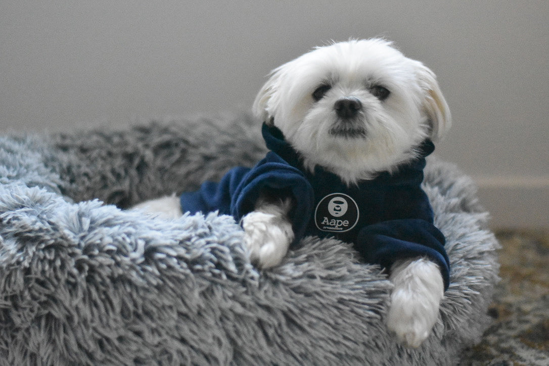 KOP Pet Calming Bed