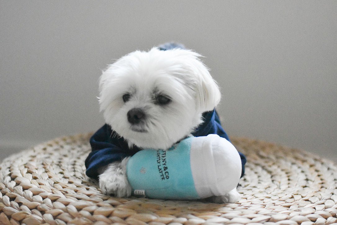 Sniffany and Co Go Lightly Latte