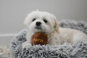 Chewy Vuiton Toy Ball