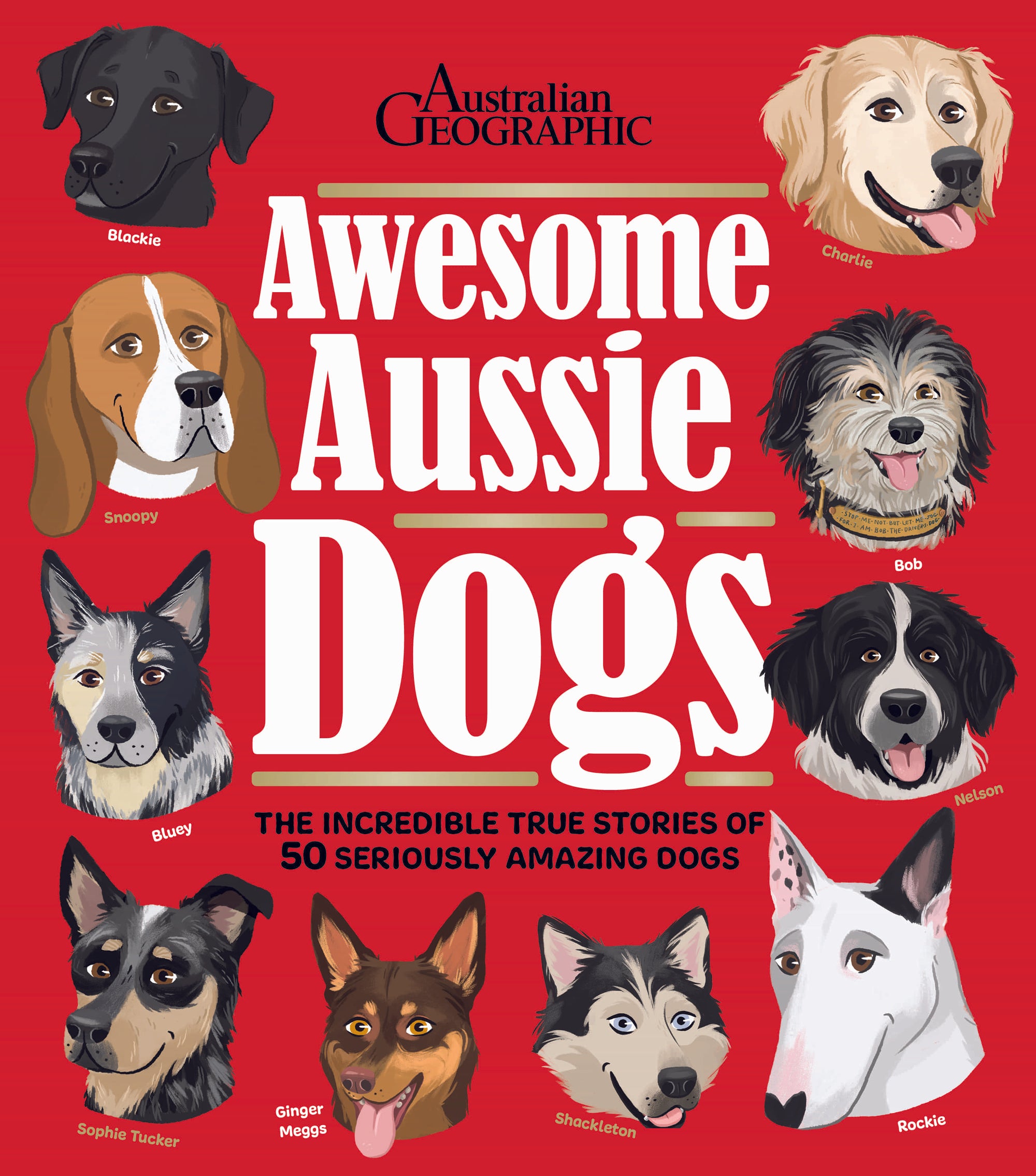 Amazing Dog Stories Book