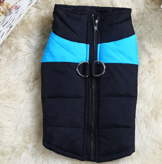 Coloured Harness Vest