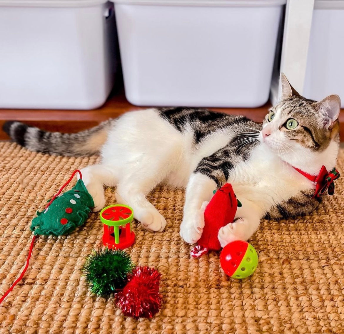 Kitty Christmas Stocking