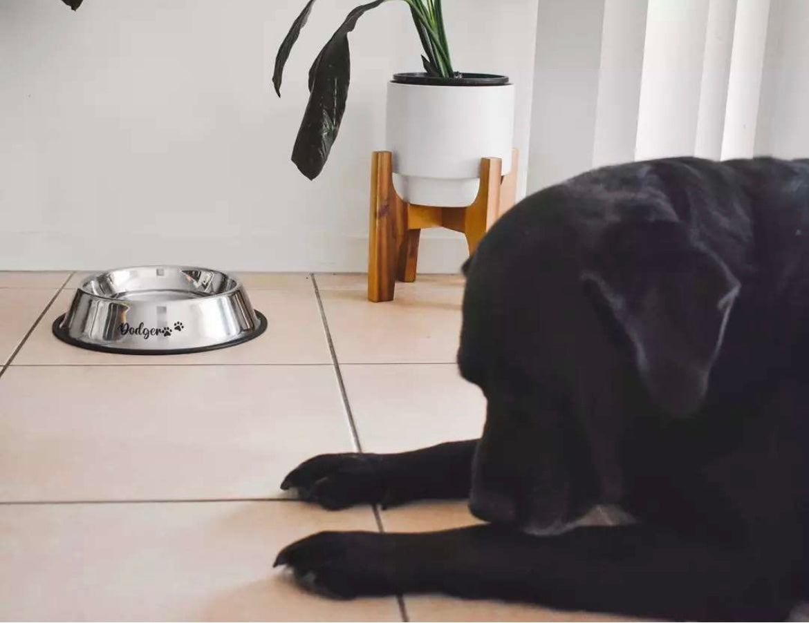 Silver Stainless Steel Bowls
