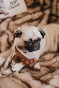 Chewy Vuiton Toy Heel