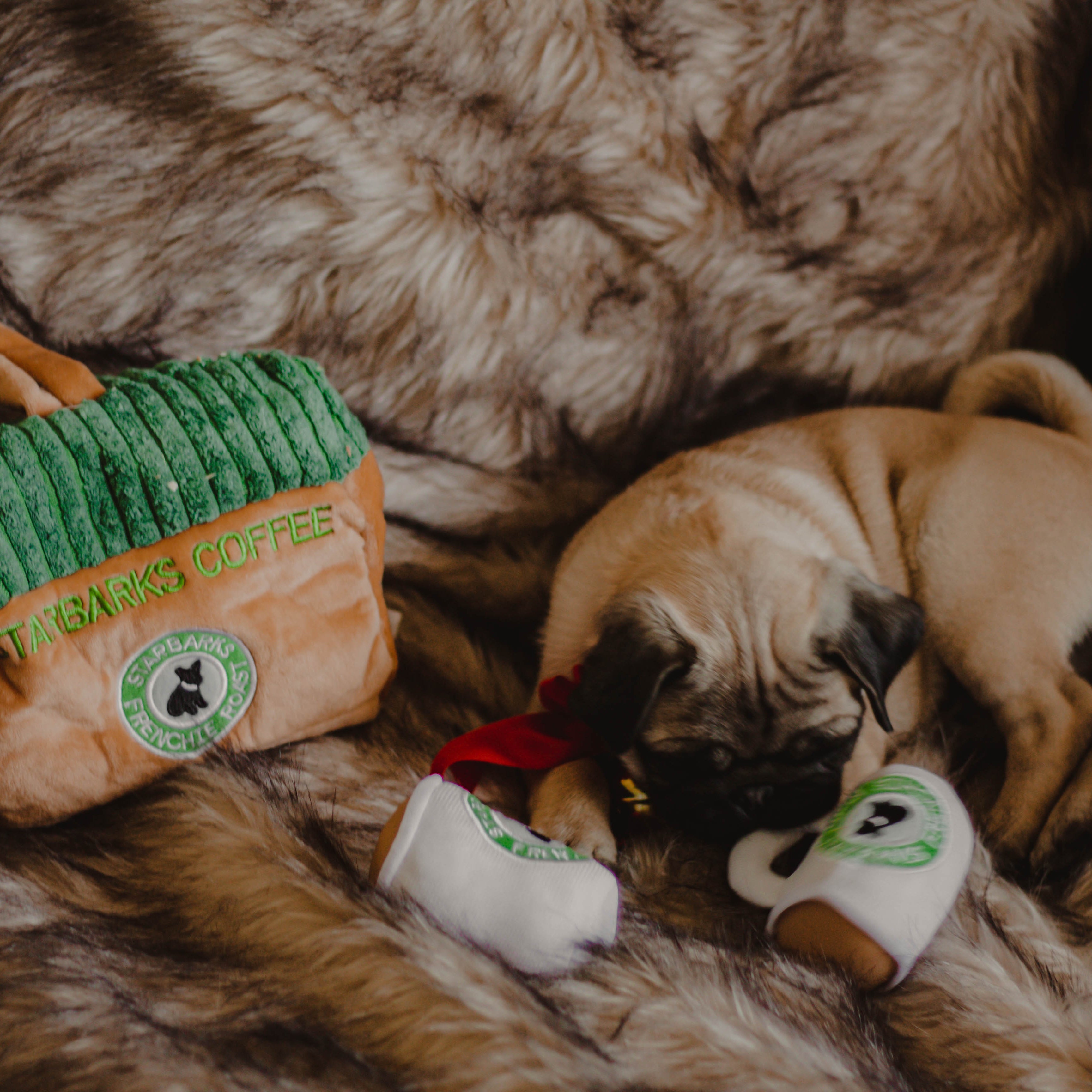 Starbarks Toy Set