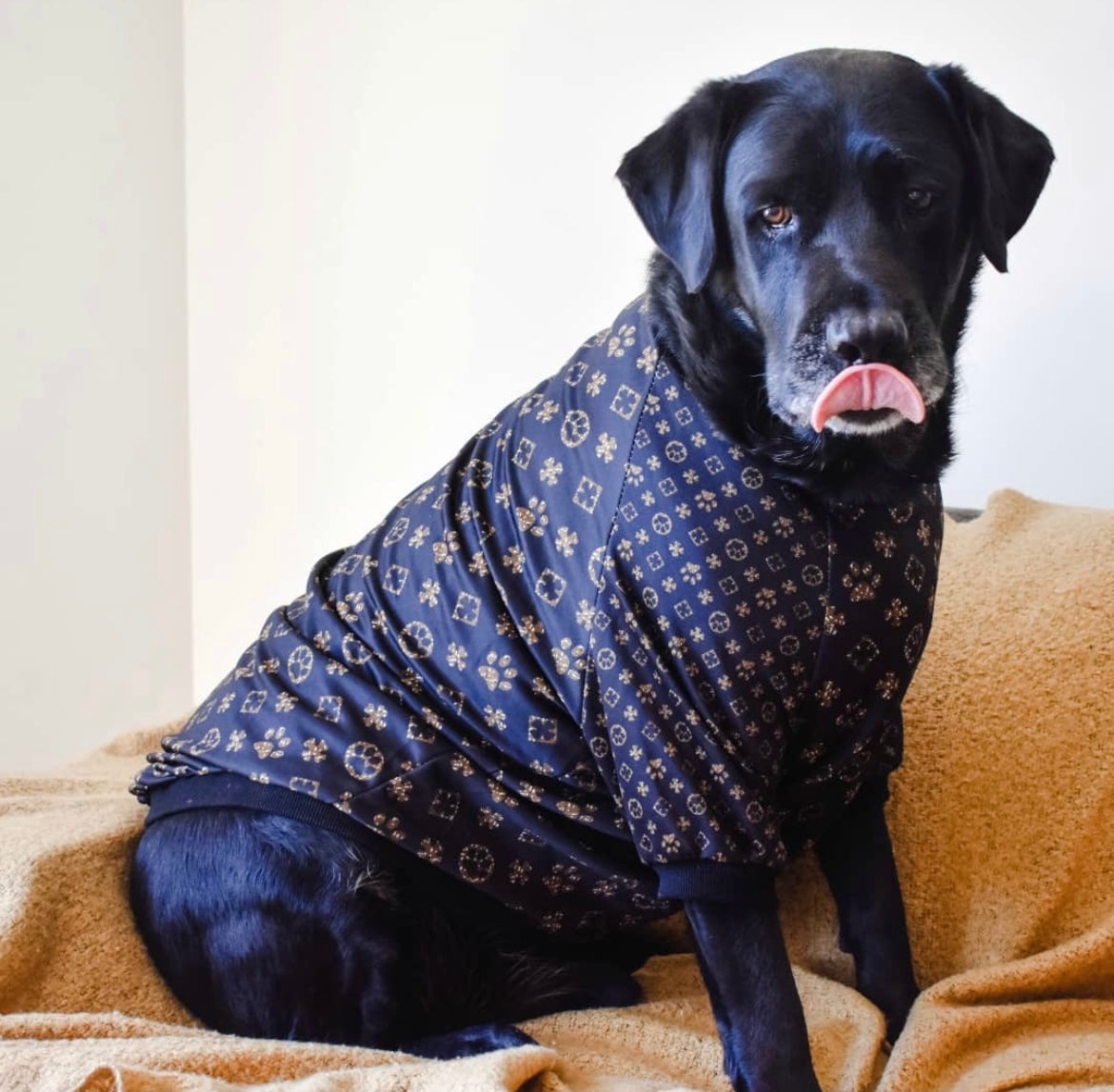 Chewy V Dog Leash & Collar Set - The Supreme Paw Supply  Designer dog  collars, Unique dog collars, Luxury dog collars