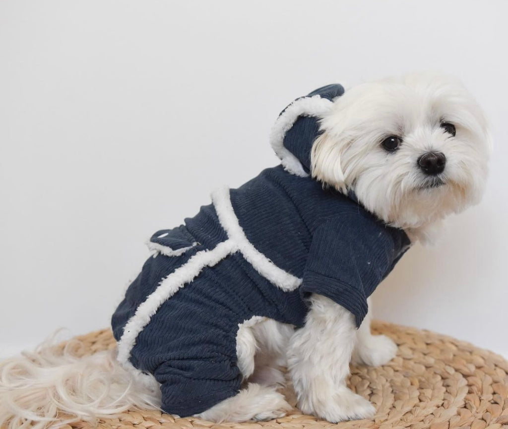 Corduroy Onsies