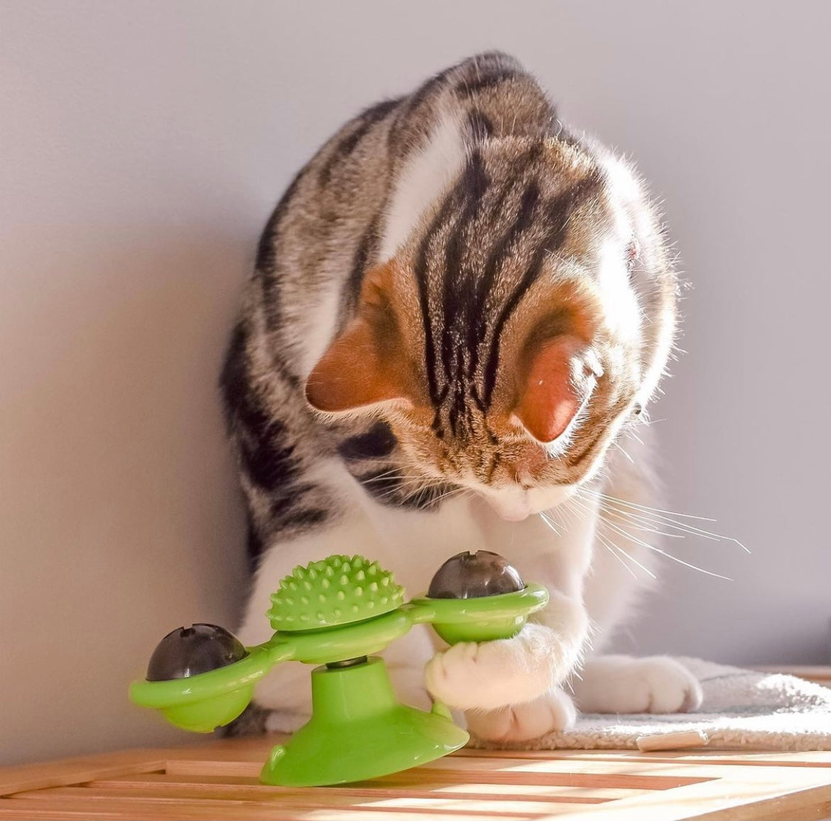 Cat Interactive Windmill