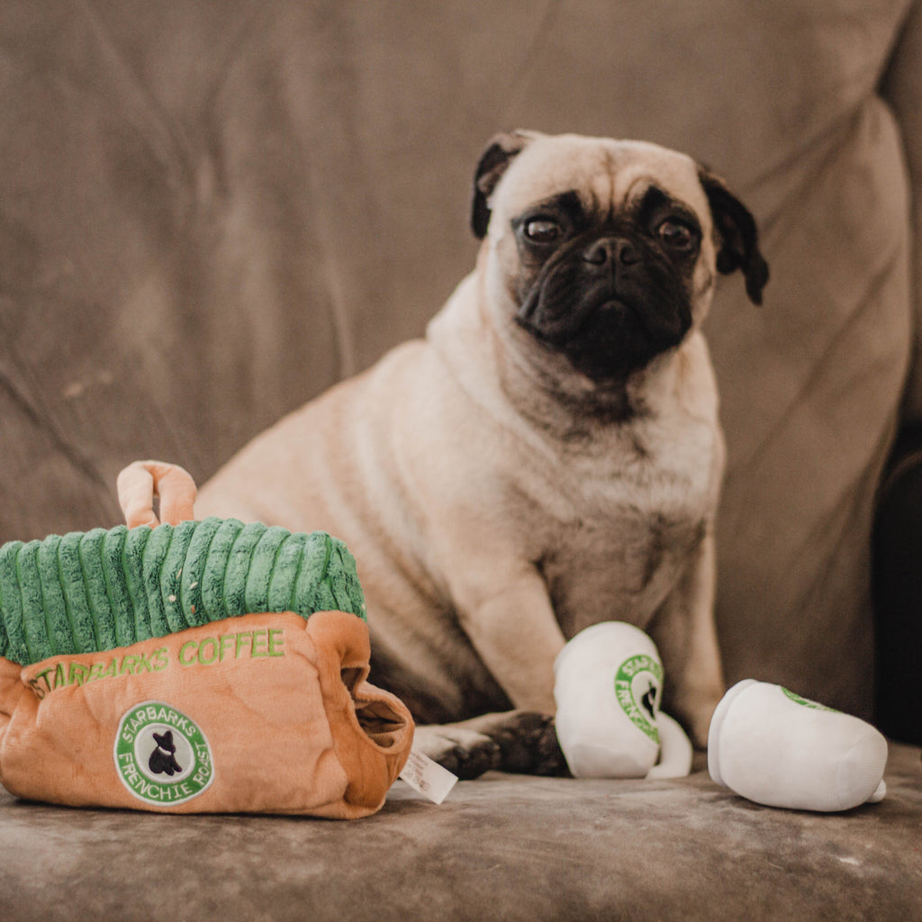 Starbarks Toy Set