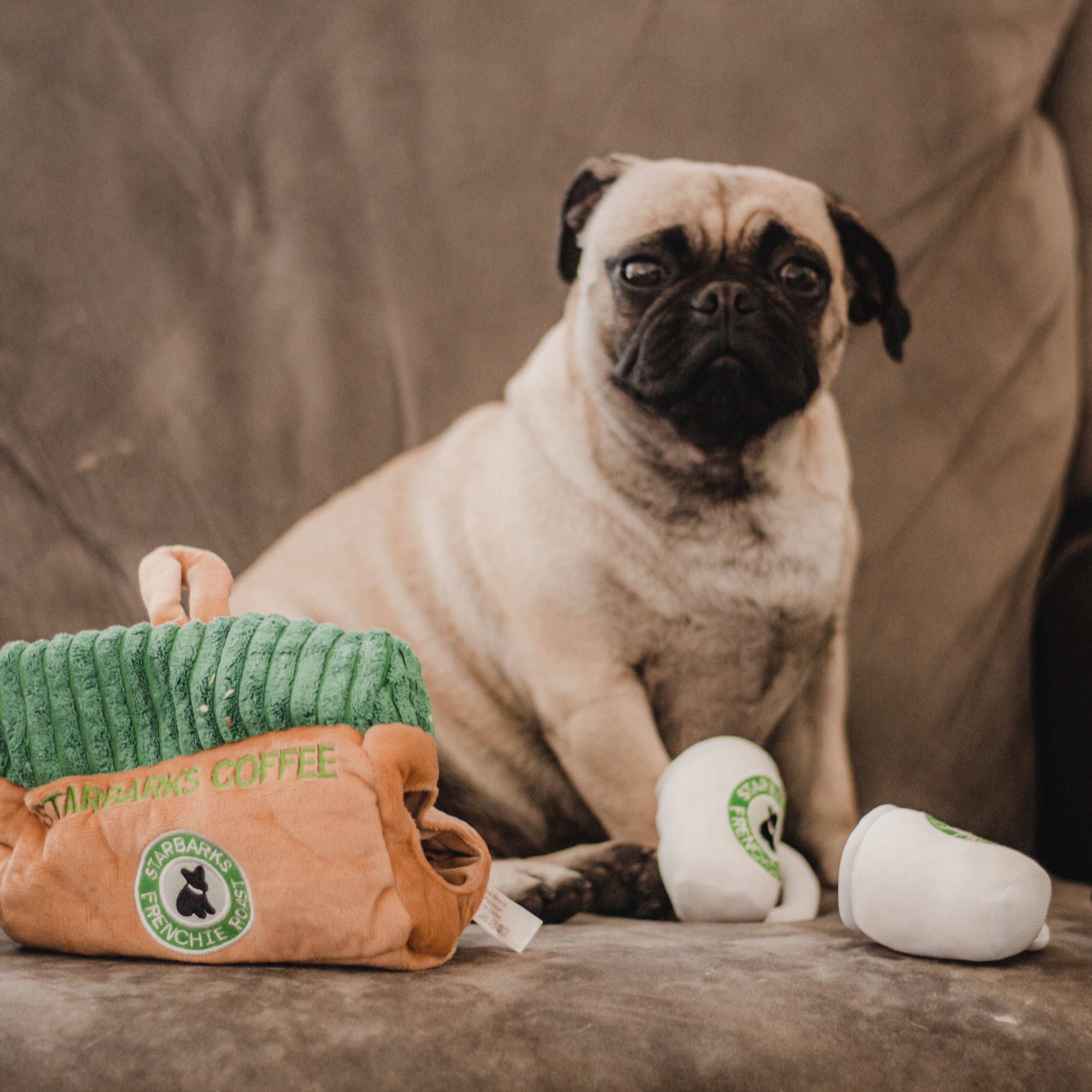 Starbarks Toy Set