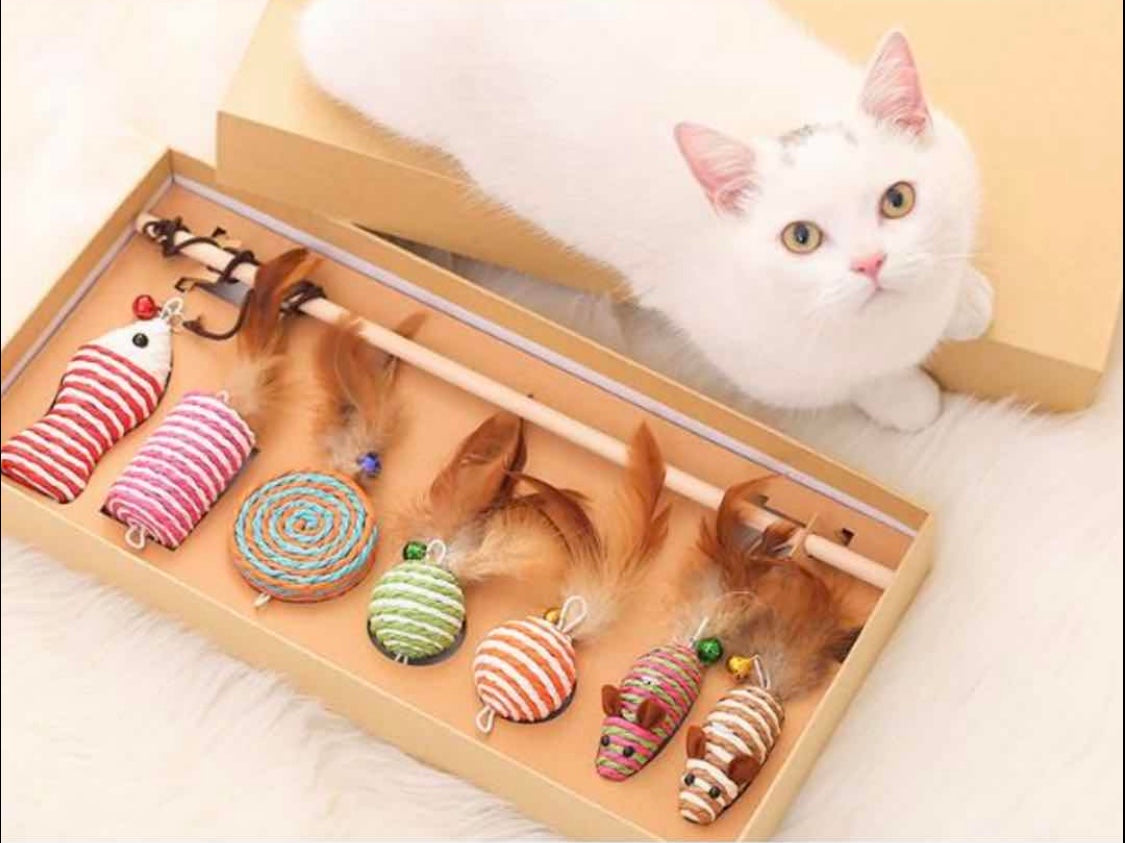 Cat Deluxe Gift Box
