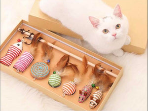 Cat Deluxe Gift Box