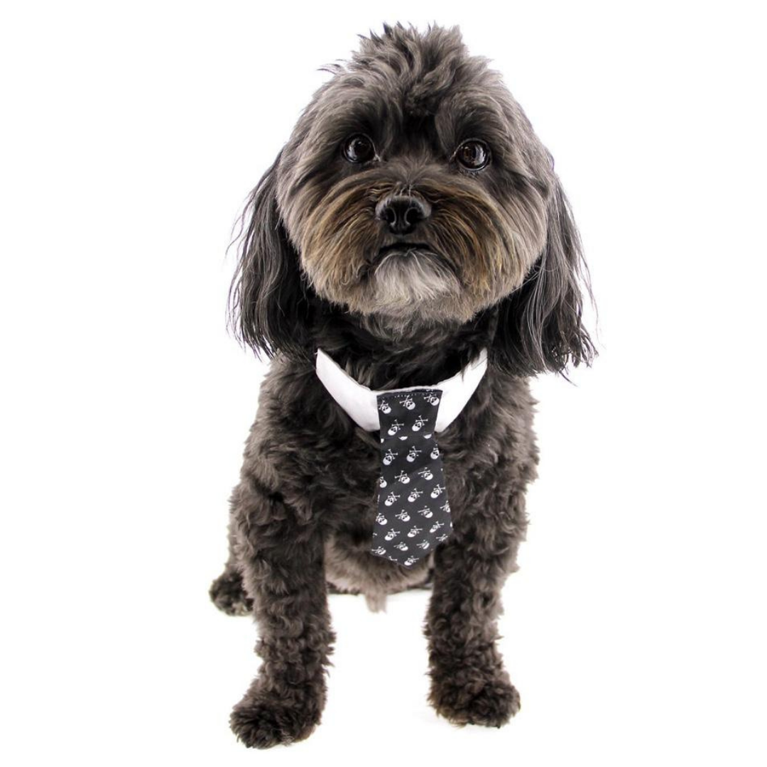 Silk Skull Dog Tie