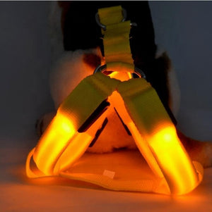 LED Pet Harness