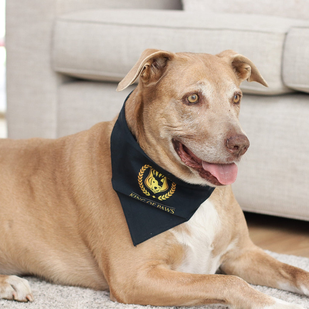 King of Paws Bandana