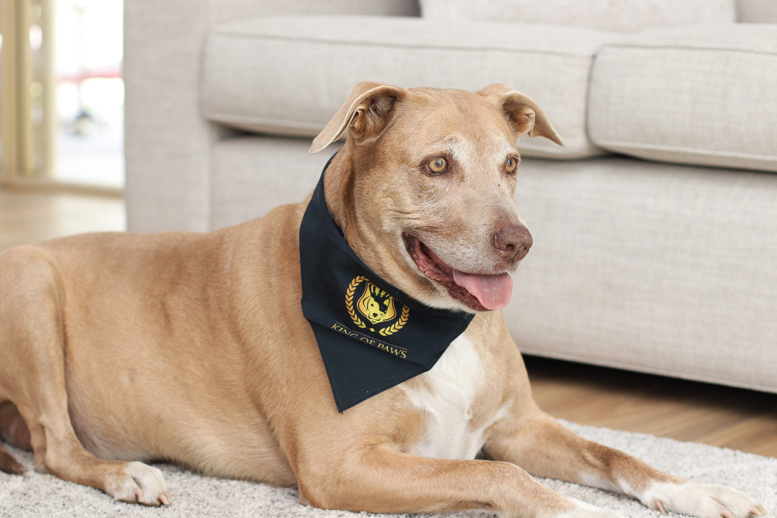King of Paws Bandana