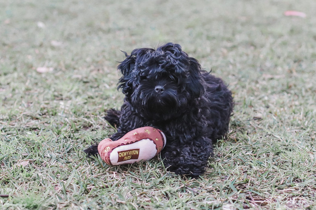 Chewy Vuiton Toy Heel