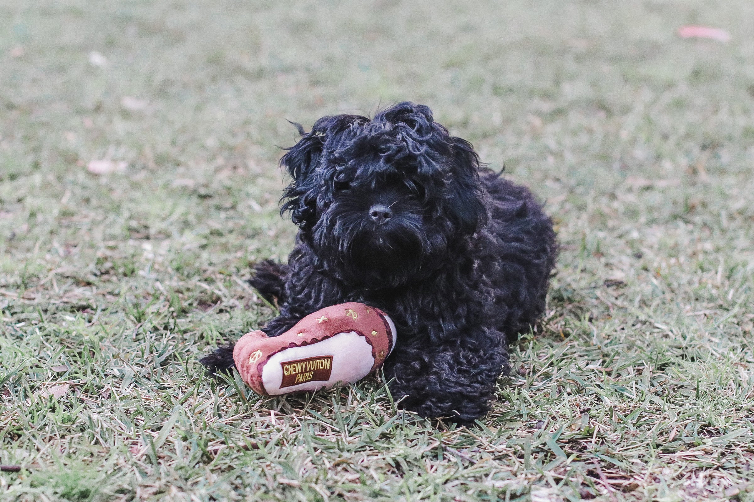 Chewy Vuiton Toy Heel